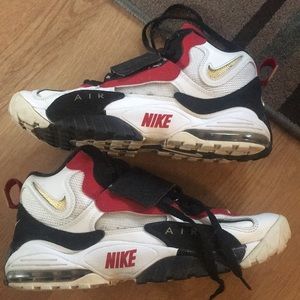 Nike Air Max Shoe